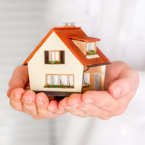 House in human hands